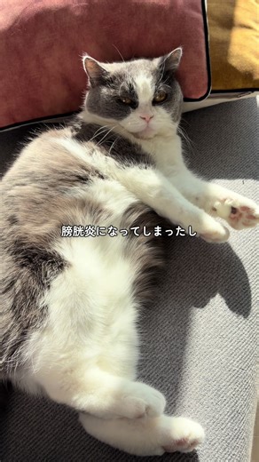 なーたんのための特別なご飯選び