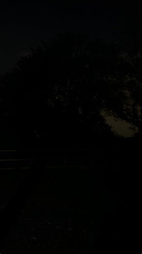 Female Owl 黎 | Joanne Murray | Facebook