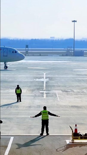 The Hidden Hand Signals That Guide Every Aircraft Safely : #Aircraft #Airplane