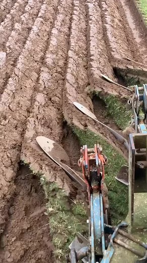 hasan bepari234 على TikTok