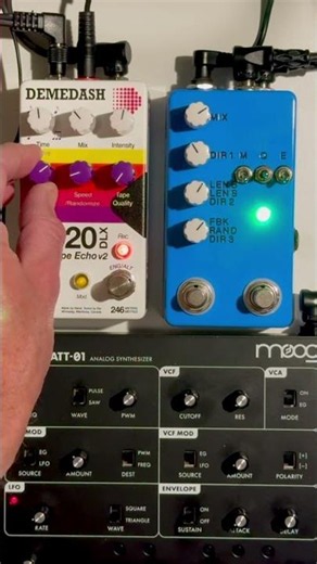 Moog Werkstatt + Demedash T-120 DLX V2 — Lo-Fi Delay + Loops