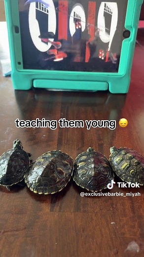 Exploring Teenage Mutant Ninja Turtles: Edits and Scenes