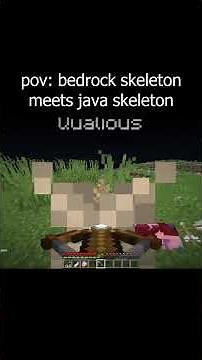 pov: bedrock wither meets java wither