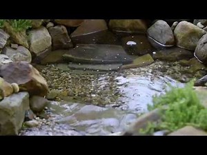 smartpond® UV Pond Pump Maintenance