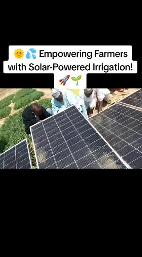 Solar-Powered Irrigation Success for Farmers in Nigeria