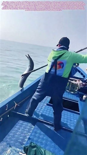 Hooking the Deep: The Art of Landing the Slippery Catch