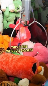 1.1K views · 42 reactions | World’s Biggest Claw Machine! #fbreels #reelsinstagram #trending #reelsviral #clawmachine | Carson Claws | Facebook