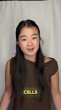 What are Neutrophils