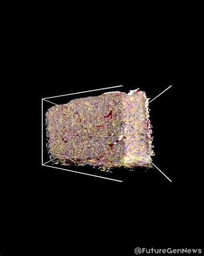 FutureGen News on Instagram: "This visualization of a cubic millimeter of mouse brain smaller than a grain of sand shows 75,000 neurons and pyramidal cells processing over 11,000 inputs at once."
