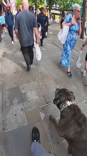 Watch Closely How People React 💀🐶
