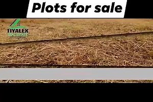 41 reactions · 36 shares | Gula 20x20 Plot Pali 9pin Pay Slow Start 33.3% Balance in 6 Months Call 0777250652/ 0971706581 for more info Hurry Hurry #Yakapwa | BMD | Facebook