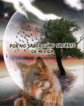 Bronco - Perdóname (letra)