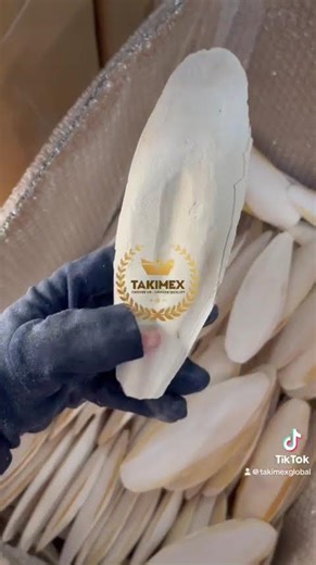 DRIED CUTTLEFISH BONE