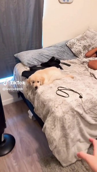 Brooke Junkins (@luvqueenb)’s videos with original sound - Mikaela Bisson