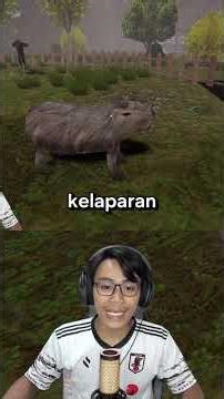 NEVER MAKE THIS CAPYBARA ANGRY..!!! #danacib