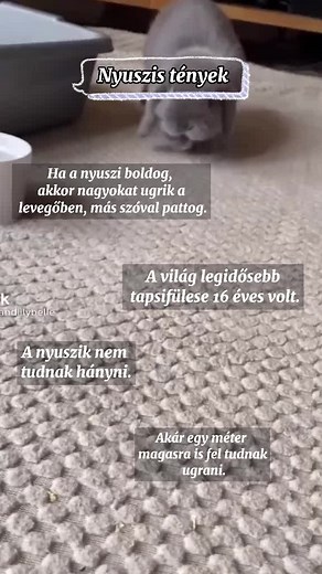 Nyuszis tények🐰 #nyuszik #new #érdekesség