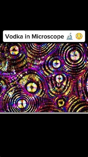 This is what alcohol looks like under a microscope 🔬😨 #interesting