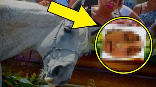When a Cowboy Died Suddenly, His Distraught Horse Did Something remarkable at the Funeral