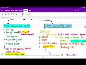 Reproductive system of cockroach #neetbiology #neetzoology