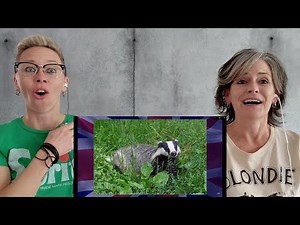 American Couple Reacts: Ways British & American Springtime is VERY Different! Some BIG shocks here!!