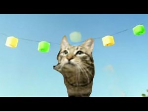 (MeowSynth) All star