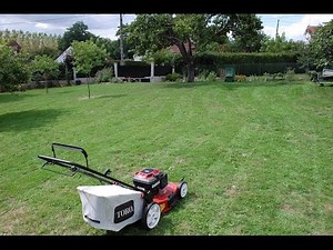 Tonte: Toro 20954 / Echo srm3800 / Stihl sh 85 ( version longue )