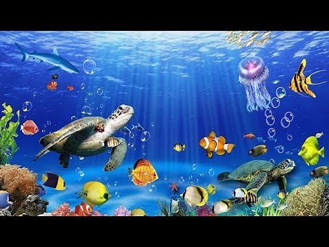 ¿Por qué el mar es azul?