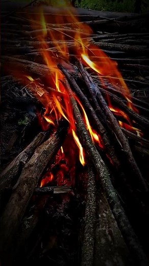 Soft Rain & Crackling Fireplace 🔥🌧️ Cozy Night Ambience