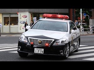 【緊急走行】警視庁 第六方面交通機動隊 200系クラウン交通パトカー