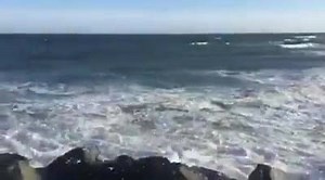 "You don't need a weatherman to know which way the wind blows." ~Bob Dylan (let's not let them keep us away from the shore … It's going to be beautiful every day!! That's my Summer forecast) ☀️🌴🐬🌺🌊🐚 | The Wildwood Sun by the Sea Magazine