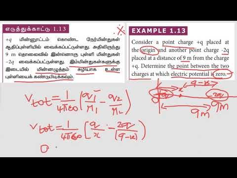 Example 1.13 class 12th physics Tam and Eng