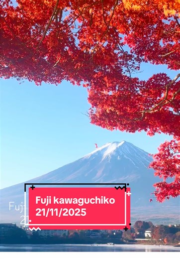 Khám Phá Ubuyagasaki: Cảnh Đẹp Fuji Kawaguchiko