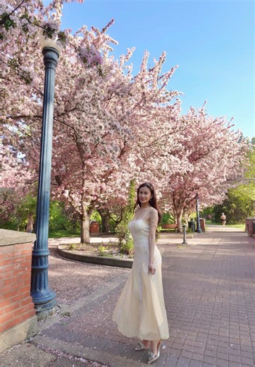 Cherry Blossom Beauty in Canada This Spring