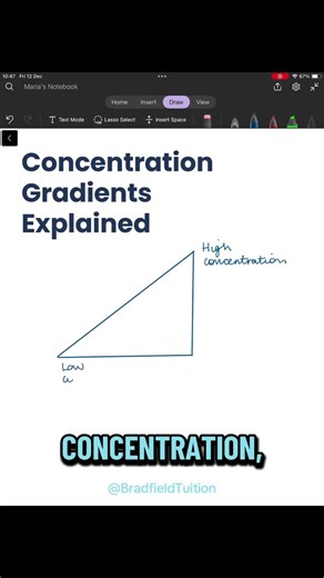 Oli & Maria - Bradfield Tuition on Instagram: "Diffusion vs active transport - explained with a hill 🏔️ If particles are moving down the hill (high → low concentration), they don’t need energy - that’s diffusion. But if they’re moving up the hill? They need energy and a carrier protein - that’s active transport. Simple mental models = better exam answers. #GCSEBiology #BiologyRevision #ExamSuccess #BiologyExplained #ScienceSimplified #bradfieldtuition"