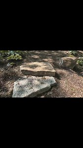 Come visit us and explore the gardens!! #GardenVibes #hostas #hostacollection #gardening #shadegardening | Hostas on the Bluff