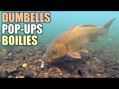 Triple Bait Carp Chaos – Boilies + Pop-Ups + Dumbbells, Then the Line Snapped!