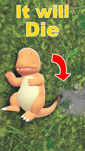 What Happens if Charmanders flame burns out?