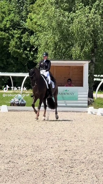 KING D Triumphs in Inter II Dressage with 72.5%