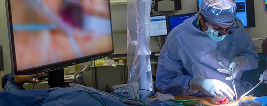 Otolaryngology – Head and Neck Surgery