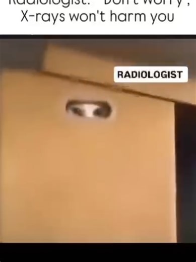 When You're Radiologist Says X-rays Aren't Harmful 😱😳🥺 #Pets #humour #Meme #wtf #fyp