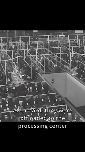 In this video, we explore the history of immigration to the United...