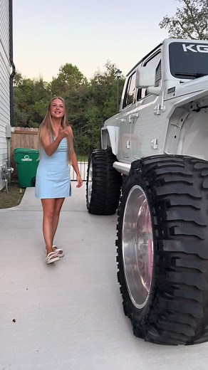 Sinking a $150K Toy in the MUD - How Many Likes?