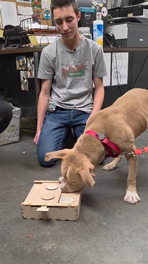 UMass Lowell on Instagram: "Students from @umlengineering designed toys to keep animals at @lowellhumanesociety engaged. For the final project in "Introduction to Engineering Design," 90 freshmen created pet toys to help enrich the lives of animals at the Lowell Humane Society. Check out our story to learn more! #umasslowell"