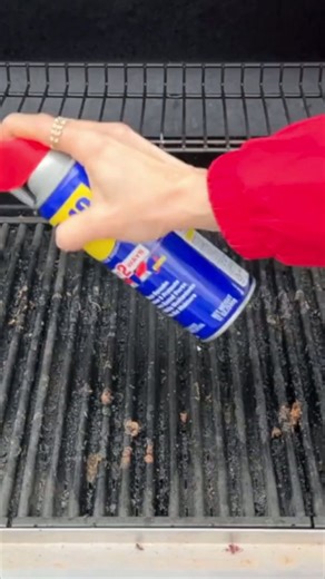 Spray WD-40 on your grill