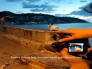 Professional Model (VIDEO) - Izismile.com