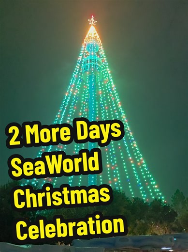 Despite the on-going wet weather, @SeaWorld San Diego is open and the Christmas Celebration continues through Sunday. ONLY 2 NIGHTS LEFT!! 🎄😭 The park is still gorgeously illuminated with over 1 million lights, you can still visit Santa's reindeer in training (Holly & Tinsel), grab some festive food offerings (which are all amazing by the way!) and get those feel goods in by taking in the an amazing musical Christmas show, Stocking Full of Soul! This park HANDS DOWN was my favorite Christmas i