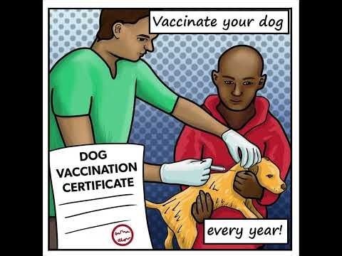 10 things you should know to prevent rabies | International Livestock Research Institute (ILRI)