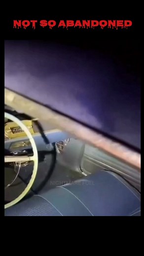 Throwback to one of the creepiest videos #nightmarefuel #besthorrorchannel #supernatural #paranormal #paranormaltiktok #paranormaltiktoks #horror #creepy #scary #cryptidsandcreatures #scariestvideosontheinternet #fypageシ #fyp #fypシ゚viral #fypages #foryou #fypage #foryourpage