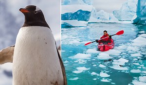 Record high as temperature in Antarctica climbs over 20c for first time - Extra.ie