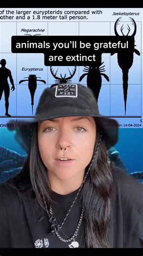 tag urself i’m ratzilla #extinctanimals #LearnOnTikTok #creepy #evolution #prehistoric #themoreyouknow#2865 | Lindsay Nikole